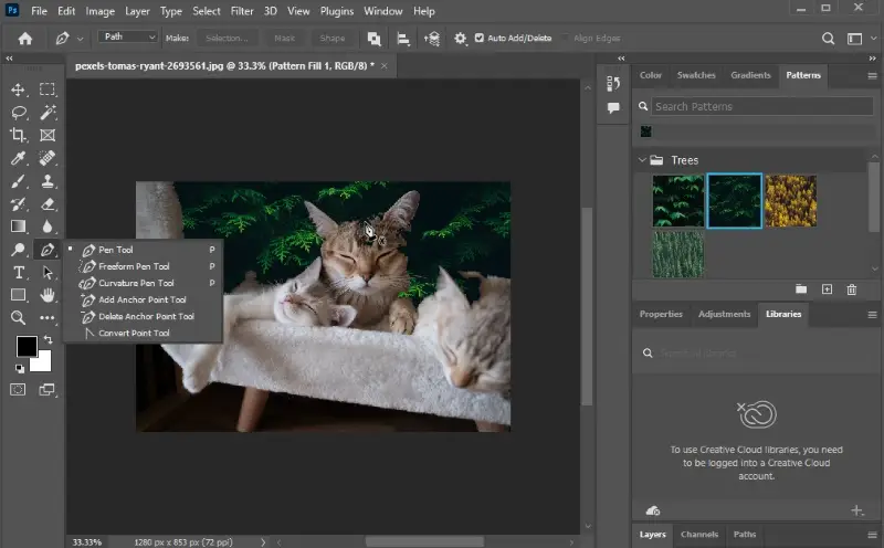 Photoshop Photoshop